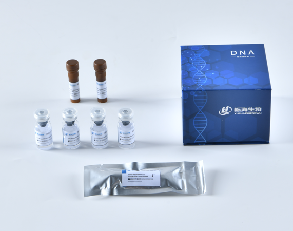 CHO残留DNA(qPCR)检测试剂盒