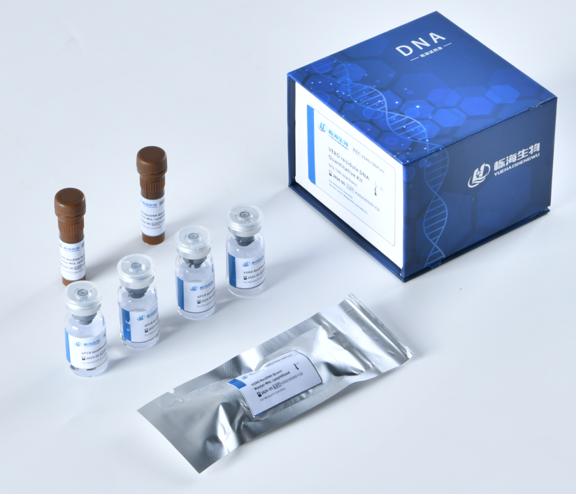 大肠核酸残留检测试剂盒